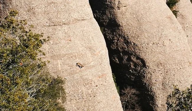 Rounded conglomerate rock formation in Montserrat